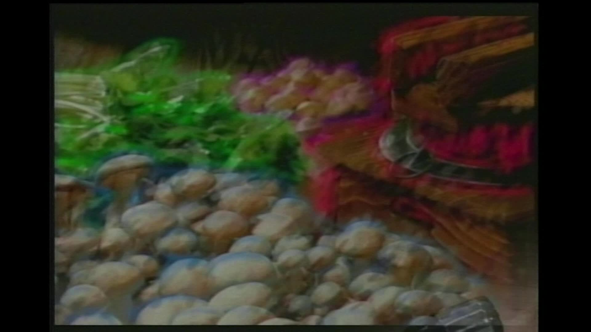 Thumbnail image for Home on the Range Mandarin Chickens